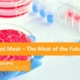 Cultured Meat english